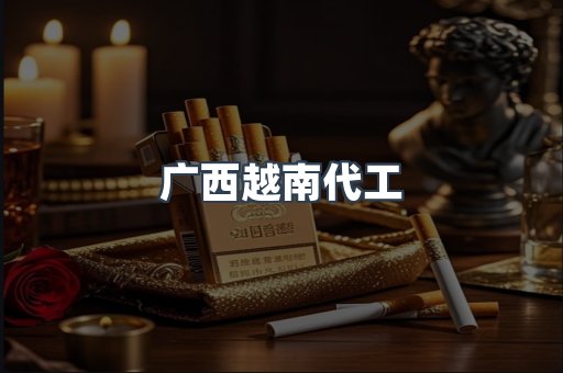 广西越南代工